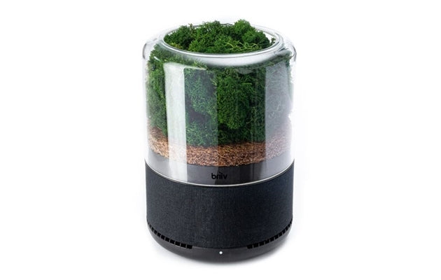 BRIIV Eco-Certified Air Purifier